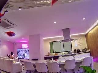 voyeurcam-casa-salsa-fishtank