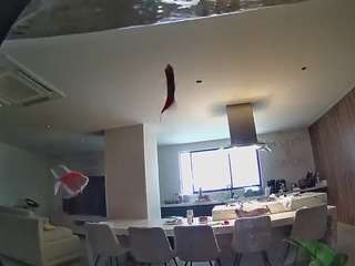 voyeurcam-casa-salsa-fishtank