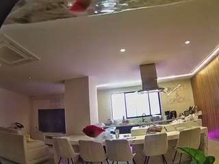 voyeurcam-casa-salsa-fishtank
