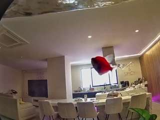 voyeurcam-casa-salsa-fishtank