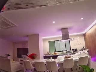 voyeurcam-casa-salsa-fishtank