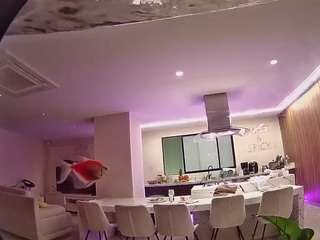 voyeurcam-casa-salsa-fishtank