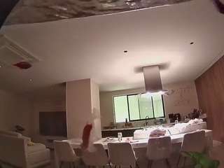 voyeurcam-casa-salsa-fishtank