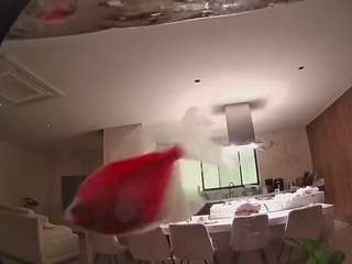 voyeurcam-casa-salsa-fishtank