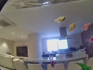 voyeurcam-casa-s... Live Webcam on CamSoda