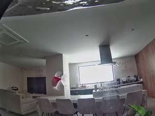 voyeurcam-casa-salsa-fishtank