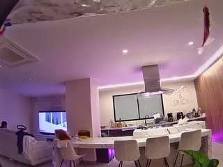 voyeurcam-casa-salsa-fishtank