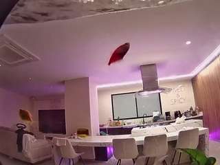 voyeurcam-casa-salsa-fishtank