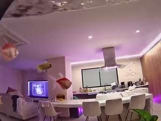 voyeurcam-casa-salsa-fishtank