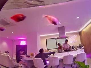 voyeurcam-casa-salsa-fishtank