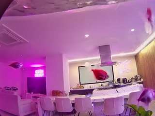 voyeurcam-casa-salsa-fishtank