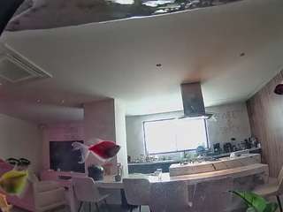 voyeurcam-casa-salsa-fishtank