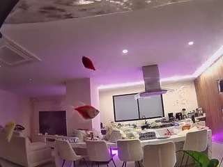 voyeurcam-casa-salsa-fishtank