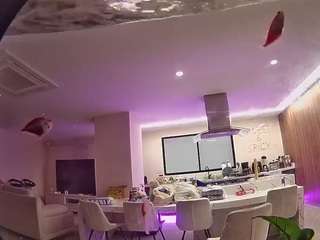 voyeurcam-casa-salsa-fishtank