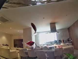 voyeurcam-casa-salsa-fishtank