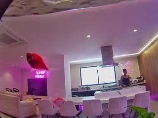 Live stream of voyeurcam-casa-salsa-fishtank