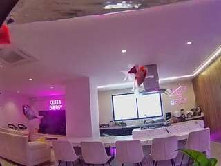voyeurcam-casa-salsa-fishtank