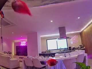 voyeurcam-casa-salsa-fishtank