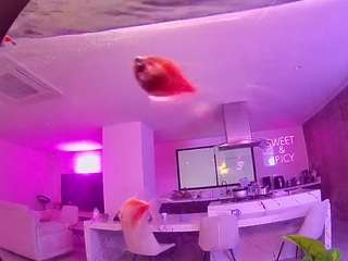 voyeurcam-casa-salsa-fishtank