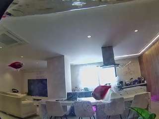 voyeurcam-casa-salsa-fishtank