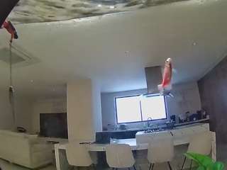 voyeurcam-casa-salsa-fishtank