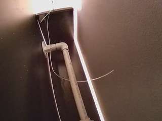 voyeurcam-casa-salsa-fishtank