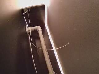 voyeurcam-casa-salsa-fishtank