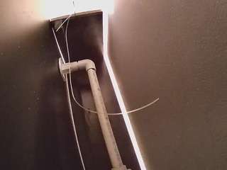 voyeurcam-casa-salsa-fishtank