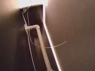 voyeurcam-casa-salsa-fishtank