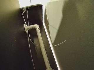 voyeurcam-casa-salsa-fishtank