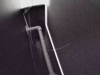 voyeurcam-casa-salsa-fishtank