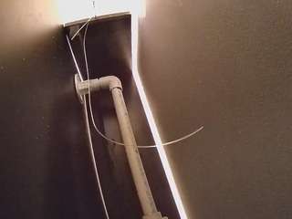 voyeurcam-casa-salsa-fishtank