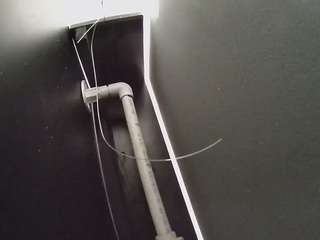 voyeurcam-casa-salsa-fishtank