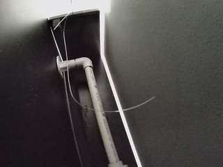 voyeurcam-casa-salsa-fishtank