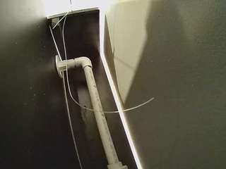 voyeurcam-casa-salsa-fishtank