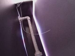 voyeurcam-casa-salsa-fishtank