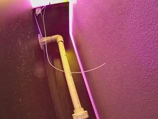 voyeurcam-casa-salsa-fishtank
