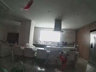 voyeurcam-casa-salsa-fishtank