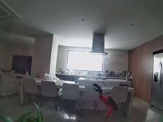 voyeurcam-casa-salsa-fishtank