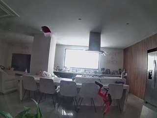 voyeurcam-casa-salsa-fishtank