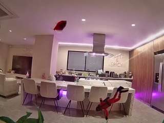voyeurcam-casa-salsa-fishtank