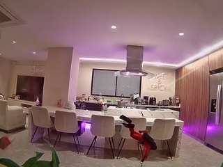 voyeurcam-casa-salsa-fishtank webcam