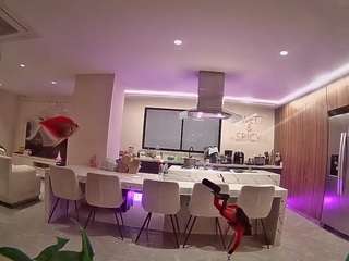 voyeurcam-casa-salsa-fishtank webcam