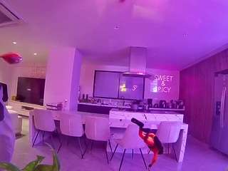 voyeurcam-casa-salsa-fishtank