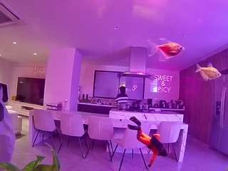 voyeurcam-casa-salsa-fishtank