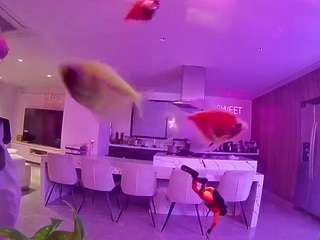 voyeurcam-casa-salsa-fishtank