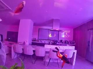 voyeurcam-casa-salsa-fishtank