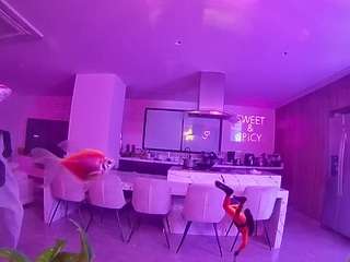 voyeurcam-casa-salsa-fishtank