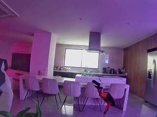 voyeurcam-casa-salsa-fishtank
