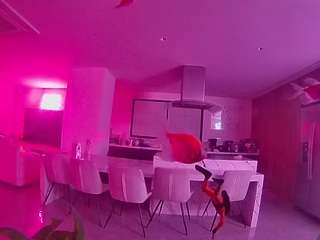 voyeurcam-casa-salsa-fishtank